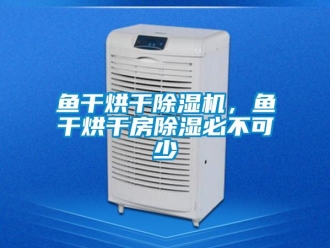 知識(shí)百科魚(yú)干烘干除濕機(jī)，魚(yú)干烘干房除濕必不可少