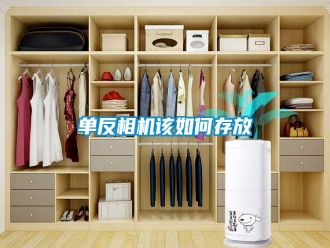 常見(jiàn)問(wèn)題單反相機(jī)該如何存放