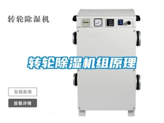 知識百科轉(zhuǎn)輪除濕機(jī)組原理