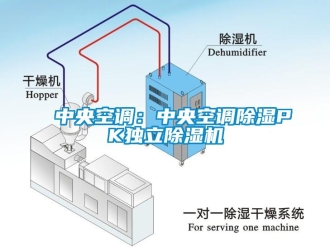 行業(yè)新聞中央空調(diào)：中央空調(diào)除濕PK獨(dú)立除濕機(jī)