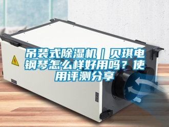 行業(yè)新聞吊裝式除濕機｜貝琪電鋼琴怎么樣好用嗎？使用評測分享