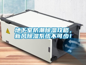 企業(yè)新聞地下室防潮除濕攻略，新風除濕系統(tǒng)不可少！