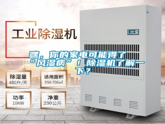 行業(yè)新聞嘿，你的家電可能得了“風濕病”！除濕機了解一下？