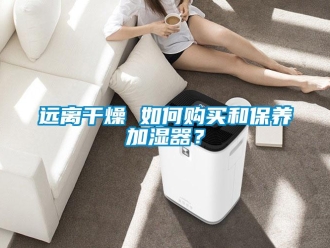 常見問題遠離干燥 如何購買和保養(yǎng)加濕器？