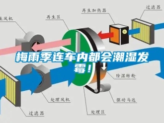 行業(yè)新聞梅雨季連車內(nèi)都會(huì)潮濕發(fā)霉！
