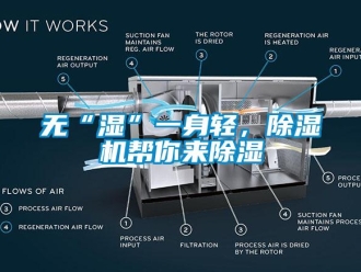 知識百科無“濕”一身輕，除濕機幫你來除濕