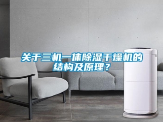 行業(yè)新聞關于三機一體除濕干燥機的結構及原理？