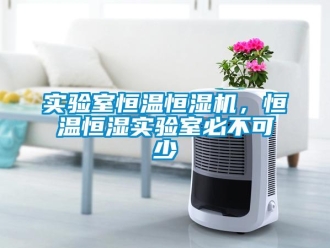 知識(shí)百科實(shí)驗(yàn)室恒溫恒濕機(jī)，恒溫恒濕實(shí)驗(yàn)室必不可少