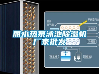 企業(yè)新聞麗水熱泵泳池除濕機廠家批發(fā)