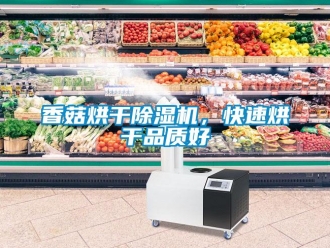 知識(shí)百科香菇烘干除濕機(jī)，快速烘干品質(zhì)好