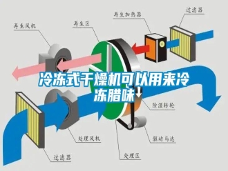 行業(yè)新聞冷凍式干燥機可以用來冷凍臘味