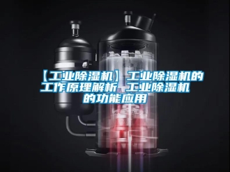 常見問題【工業(yè)除濕機(jī)】工業(yè)除濕機(jī)的工作原理解析 工業(yè)除濕機(jī)的功能應(yīng)用