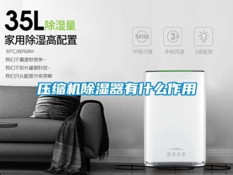 行業(yè)新聞壓縮機除濕器有什么作用