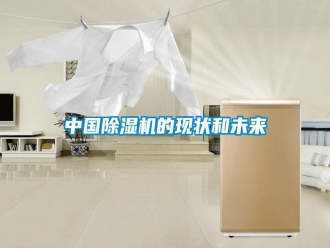 知識(shí)百科中國(guó)除濕機(jī)的現(xiàn)狀和未來