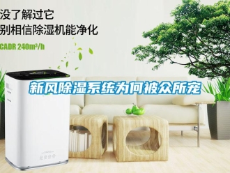 知識(shí)百科新風(fēng)除濕系統(tǒng)為何被眾所寵