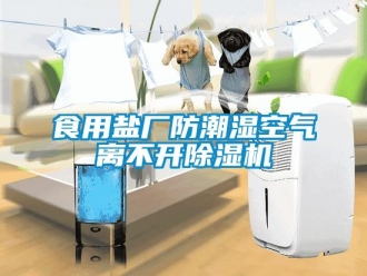 知識百科食用鹽廠防潮濕空氣離不開除濕機(jī)