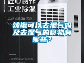 常見問題辣椒可以去濕氣嗎及去濕氣的食物有哪些？