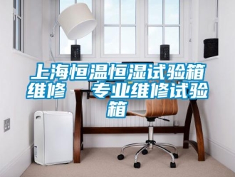 知識百科上海恒溫恒濕試驗(yàn)箱維修  專業(yè)維修試驗(yàn)箱