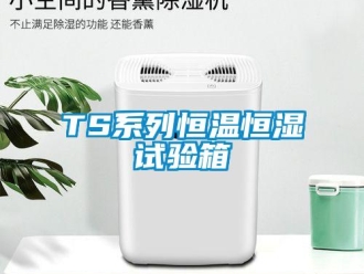 常見問題TS系列恒溫恒濕試驗(yàn)箱
