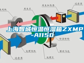 知識(shí)百科上海智城恒溫恒濕箱ZXMP-A1150
