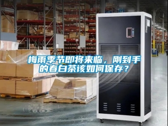 常見問題梅雨季節(jié)即將來臨，剛到手的春白茶該如何保存？