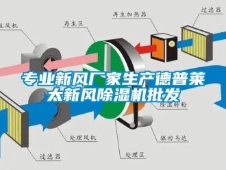 企業(yè)新聞專(zhuān)業(yè)新風(fēng)廠(chǎng)家生產(chǎn)德普萊太新風(fēng)除濕機(jī)批發(fā)