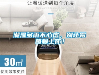 企業(yè)新聞潮濕多雨不心虛，別讓霉菌賴上你！