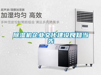 常見(jiàn)問(wèn)題除濕機(jī)企業(yè)文化建設(shè)良知當(dāng)先