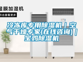 行業(yè)新聞冷凍庫專用除濕機｜空氣干燥專家(在線咨詢)｜寶雞除濕機