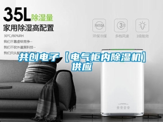行業(yè)新聞共創(chuàng)電子【電氣柜內除濕機】供應