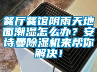 企業(yè)新聞餐廳餐館陰雨天地面潮濕怎么辦？安詩曼除濕機來幫你解決！