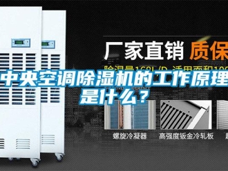 行業(yè)新聞中央空調(diào)除濕機(jī)的工作原理是什么？