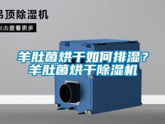 常見問題羊肚菌烘干如何排濕？羊肚菌烘干除濕機