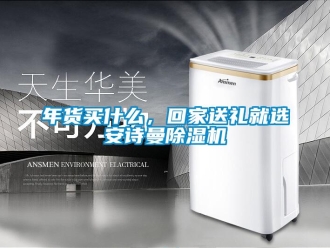 企業(yè)新聞年貨買什么，回家送禮就選安詩曼除濕機