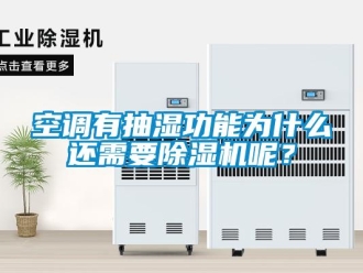 行業(yè)新聞空調有抽濕功能為什么還需要除濕機呢？