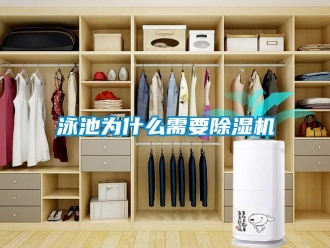 知識百科泳池為什么需要除濕機(jī)