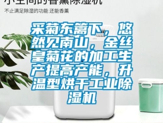 企業(yè)新聞采菊東籬下，悠然見南山，金絲皇菊花的加工生產(chǎn)提高產(chǎn)能，升溫型烘干工業(yè)除濕機
