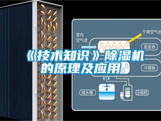 企業(yè)新聞《技術(shù)知識》除濕機的原理及應用