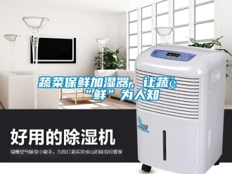 知識百科蔬菜保鮮加濕器，讓蔬菜“鮮”為人知