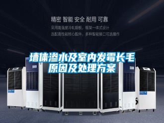 行業(yè)新聞墻體滲水及室內(nèi)發(fā)霉長毛原因及處理方案