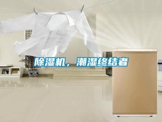 常見問題除濕機(jī)，潮濕終結(jié)者