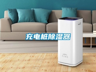 企業(yè)新聞充電樁除濕器
