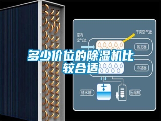 企業(yè)新聞多少價(jià)位的除濕機(jī)比較合適