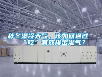 常見問題秋冬濕冷天氣，該如何通過“吃”有效排出濕氣？