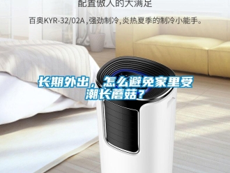 常見問題長期外出，怎么避免家里受潮長蘑菇？