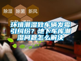 常見問題環(huán)境潮濕致車輛發(fā)霉引糾紛？地下車庫潮濕問題怎么解決