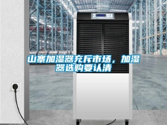 知識(shí)百科山寨加濕器充斥市場(chǎng)，加濕器選購(gòu)要認(rèn)清