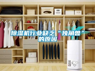企業(yè)新聞除濕機行業(yè)缺乏“獨角獸”的原因