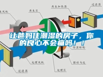 常見問題讓爸媽住潮濕的房子，你的良心不會痛嗎??！