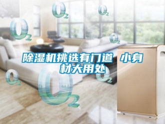 企業(yè)新聞除濕機(jī)挑選有門道 小身材大用處
